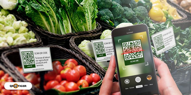 Product Verification